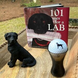 Black Labrador Retriever Collection